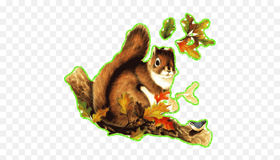 Top Squirrel Sphere Stickers For Android U0026 Ios Gfycat - Mókusos Képkeret Emoji,Squrrel Emoji