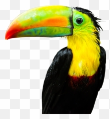 Index Of Wp - Contentpluginslayerslidersampleslider Emoji,Emojis That Are 2048 Pixels Wide And 1152 Pixels Tall