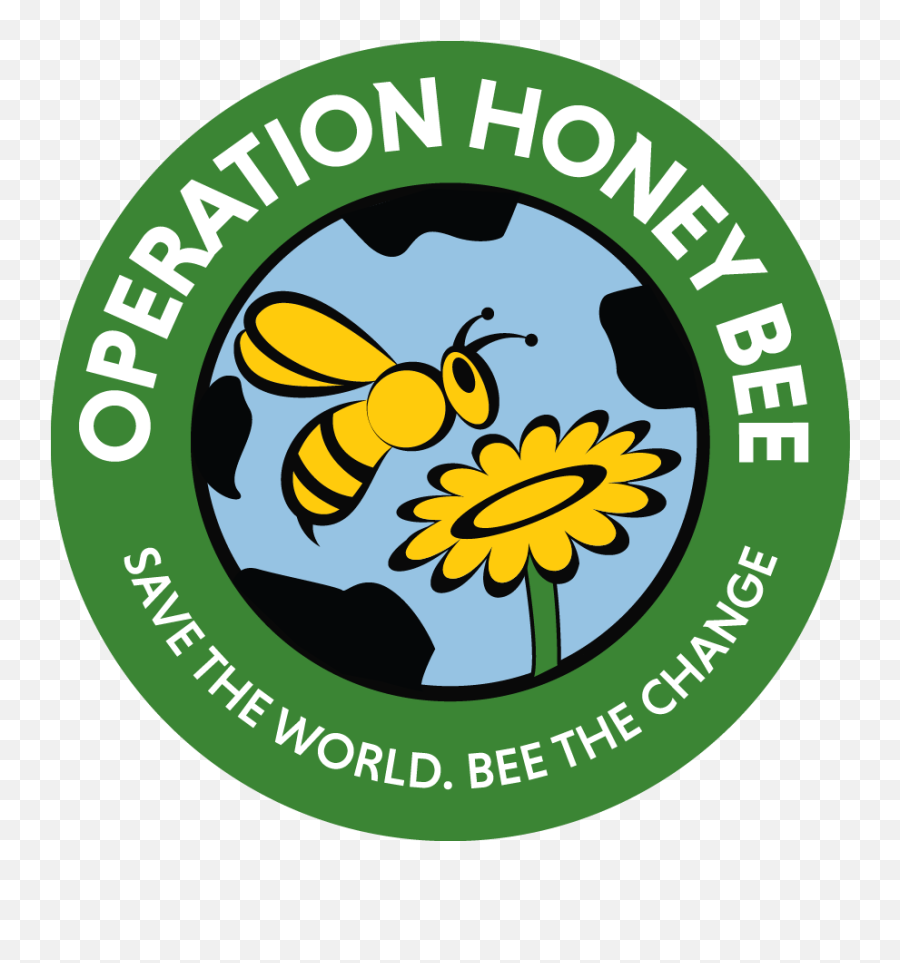 Raw Honey Versus Commercial Honey By Dr Axe - Operation Emoji,Dr Axe Can Emotions Lower Inflamation