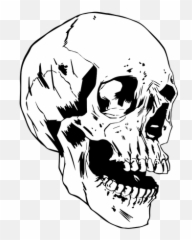 Cool Png U0026 Svg Transparent Background To Download Emoji,Skull Emoji Cool