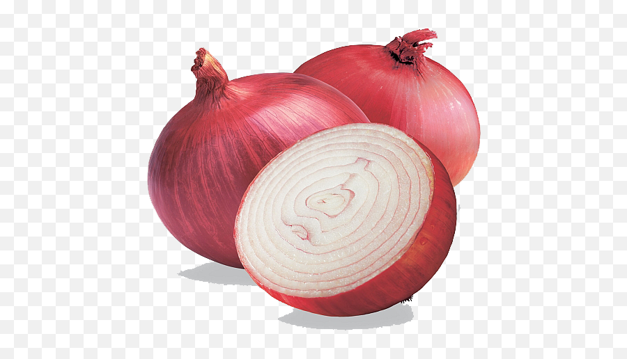 Free Transparent Onion Download Free - Transparent Onion Png Emoji,Onion Emoji