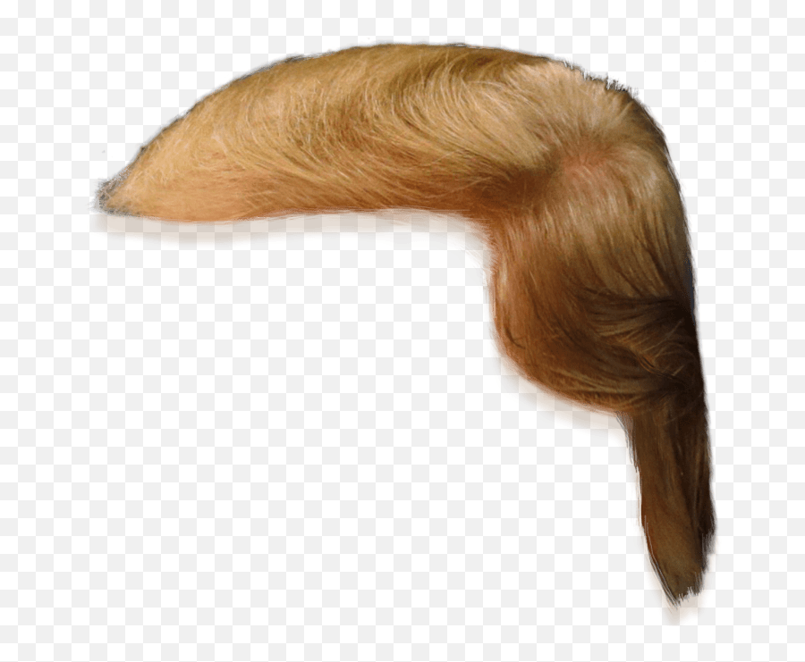 Donald Trump Hair Side View Png Clipart - Donald Trump Hair Transparent Background Emoji,Trump Hair Emoji