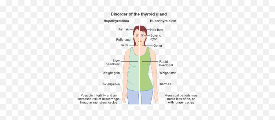 Thyroid Gland Imbalance Diseases - For Adult Emoji,Emotion Code Questions For Thyroid