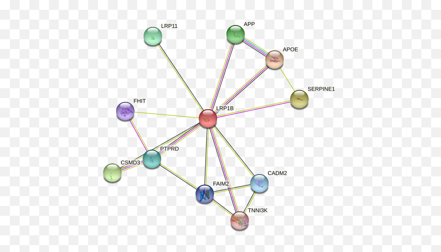 Lrp1b Protein Human - String Interaction Network Dot Emoji,Inferring Emotions Primary