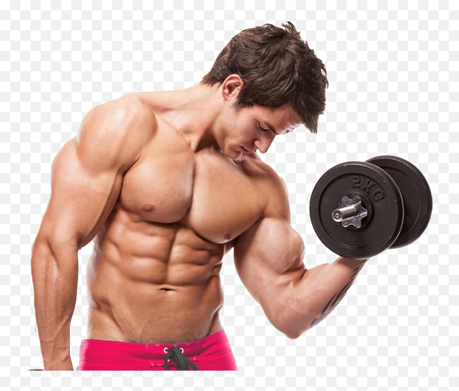 Male Gym Fitness Transparent Image Png Arts - Body Builder Png Emoji,Fitness Emojis Transparent Png