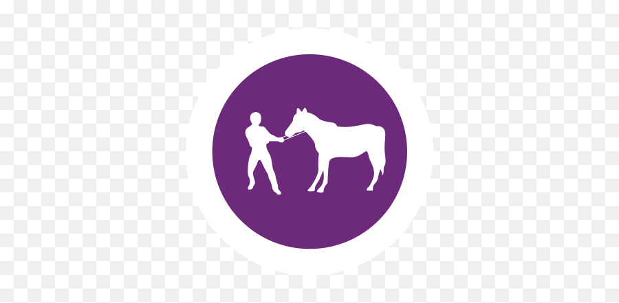 Confidence Eq To Reduce Stress In Horses - Horse Supplies Emoji,Horse Nose Emotion