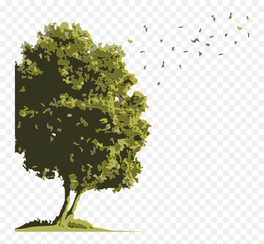 No Buses For Arbol Acuarela - Oak Transparent Png Free Consecuencia De La Deforestacion Emoji,Sapo Emojis Png