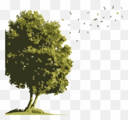 No Buses For Arbol Acuarela - Oak Transparent Png Free Consecuencia De La Deforestacion Emoji,Sapo Emojis Png