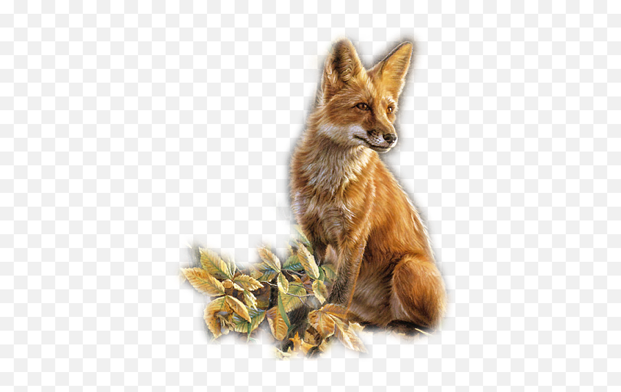 Foxes Graphics And Animated Gifs Picgifscom - Zorros Png Gifs Emoji,Emoticon Zorrito Gif