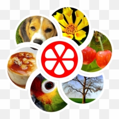 138 Word Rings Alternative Apps - Word Rings Level 18 Emoji,Wirdbrain Emotions