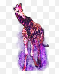 The Most Edited - Dot Emoji,Jirafe Emojis Png