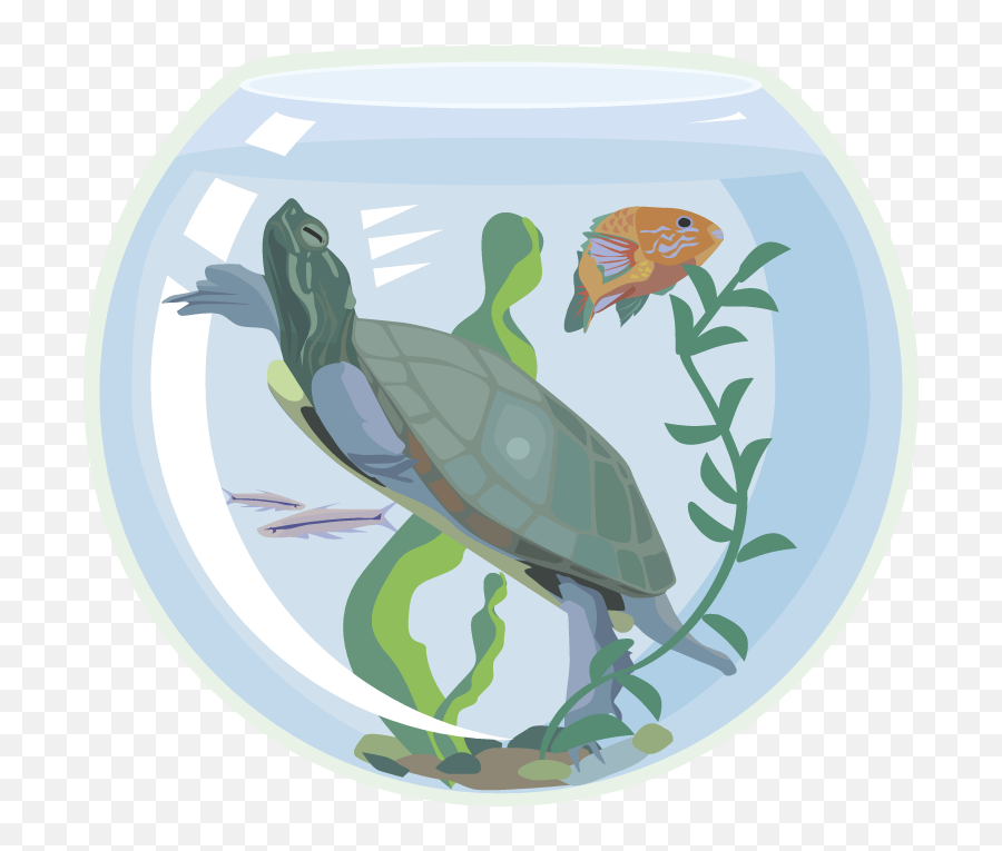 Download Fish Tank Clipart Transparent - Clip Art Png Image Tortoise Emoji,Sea Turtle Emoji