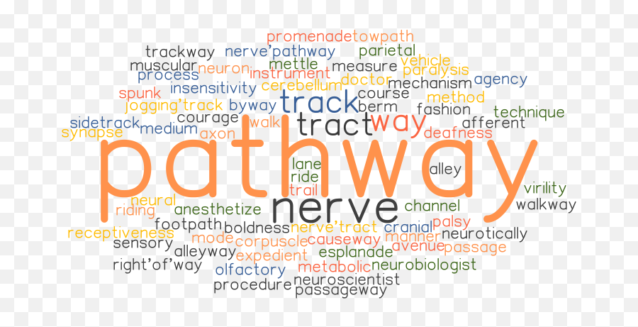 pathway-synonyms-and-related-words-what-is-another-word-emoji