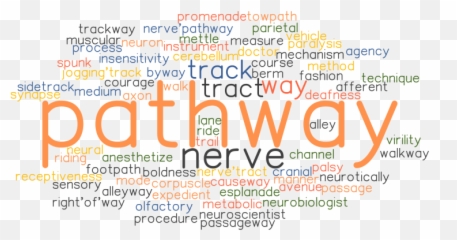 Pathway Synonyms And Related Words What Is Another Word Emoji,Somatovisceral Afference Model Of Emotion (same)