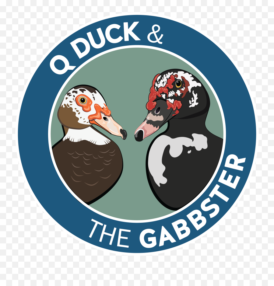 The App U2013 Q Duck And The Gabbster - Domestic Duck Emoji,Bird Emoji