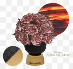 Elements U2013 Venus Et Fleur Emoji,Roses Are Senstive To Emotion