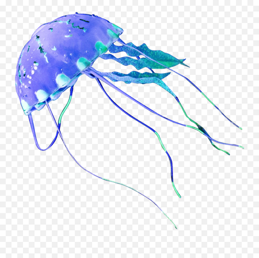 Jellyfish Png Alpha Channel Clipart Images Pictures With Emoji,Downloadable Emoticons Jellyfish