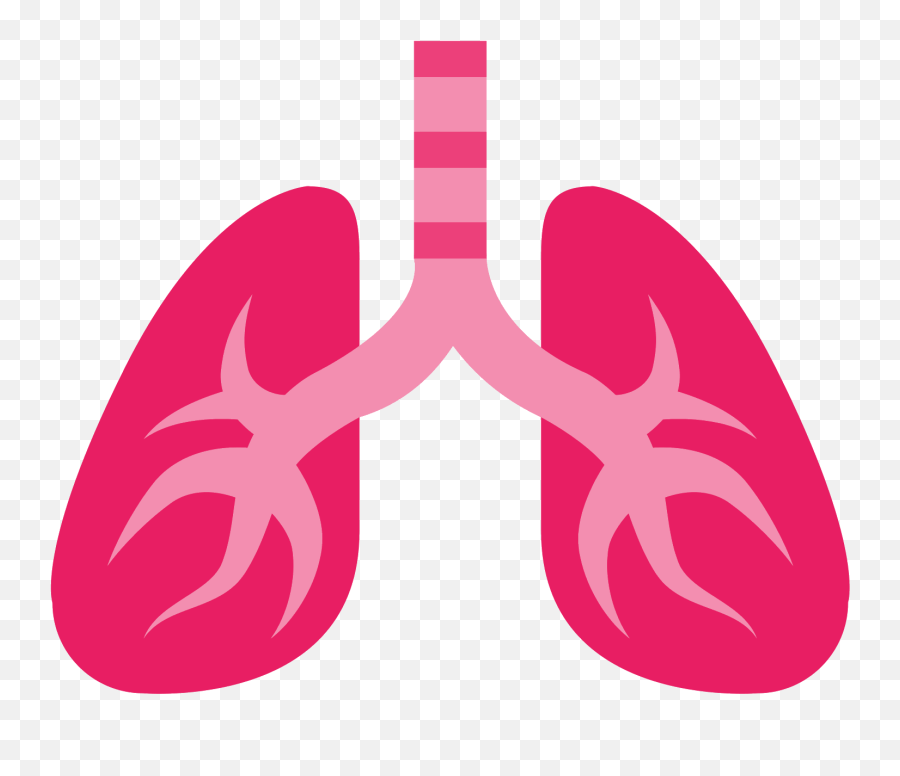 Lungs Clipart Emoji Lungs Emoji Transparent Free For - Lungs Information,Computer Emoji
