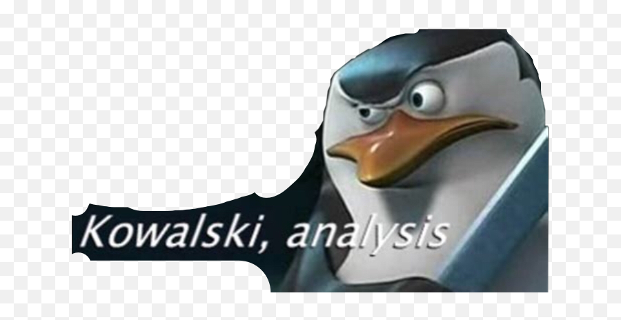Penguin Sticker - Kowalski Analysis Meme Emoji,How To Make A Penguin Emoji