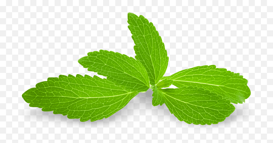 What Is Stevia Side Effects Safety Dangers And Health - Leaf Stevia Emoji,You Re Like A Plant But With More Complicated Emotions