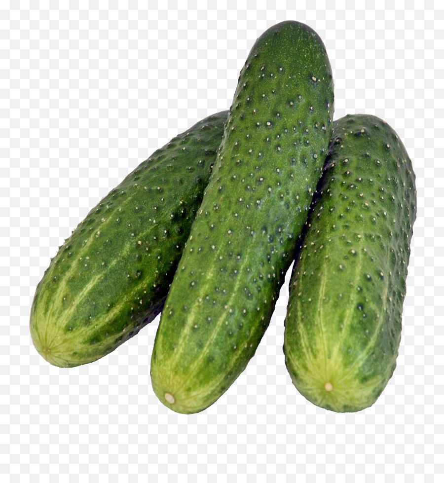 Cucumber - Gherkins Png Emoji,Cucumber Emoji