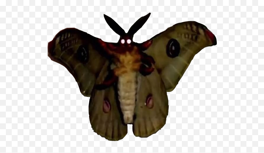 The Most Edited Mothman Picsart - Moth Transparent Background Emoji,Discord Cryptid Emojis Sasquatch
