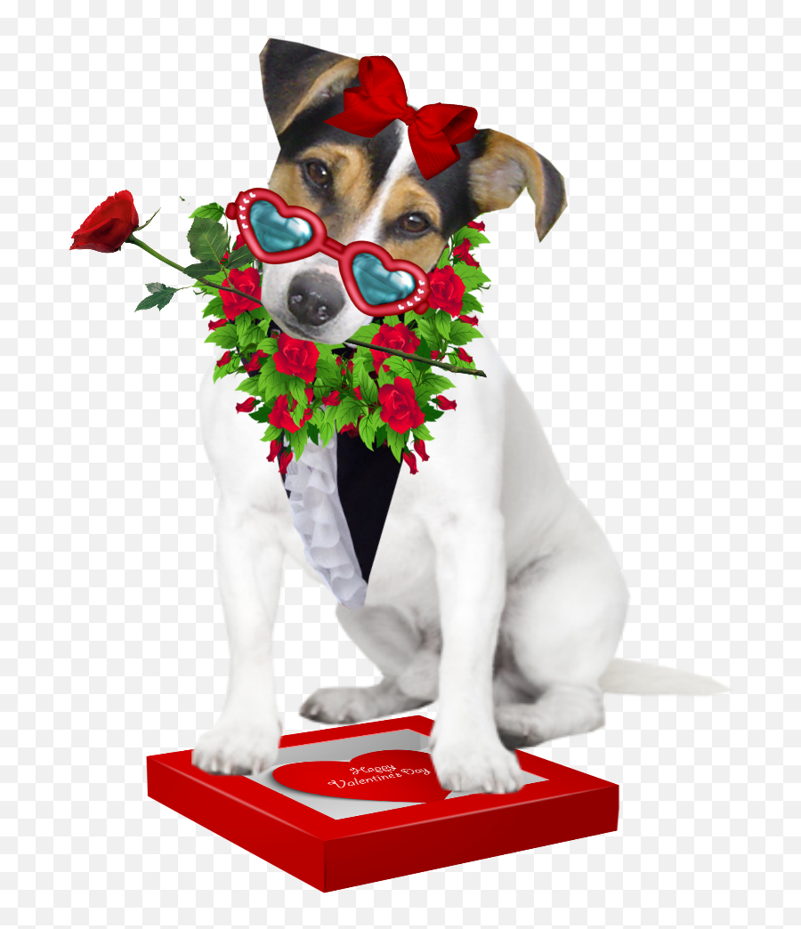 Jack Russell Terrier Jack Russell - Dog Supply Emoji,Chihuahua Emoticons