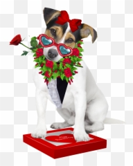 Jack Russell Terrier Jack Russell - Dog Supply Emoji,Chihuahua Emoticons
