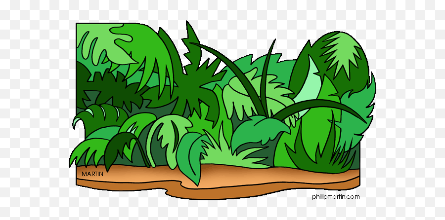 1st Grade - Jungle Clipart Emoji,1st Grade Emotion Clip Art