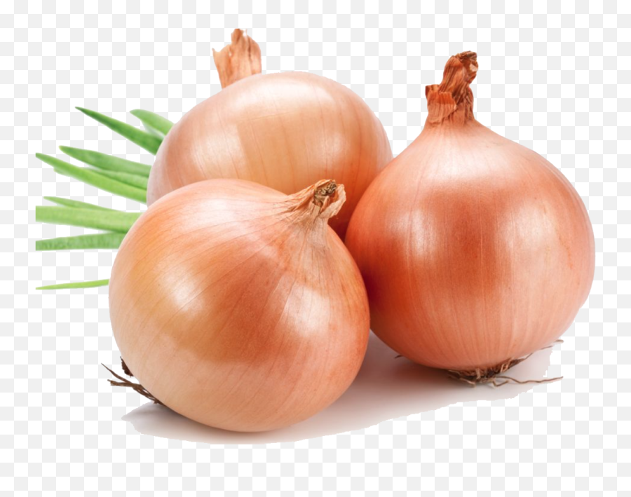 Free Transparent Onion Download Free - Onion Png Emoji,Onion Emoji