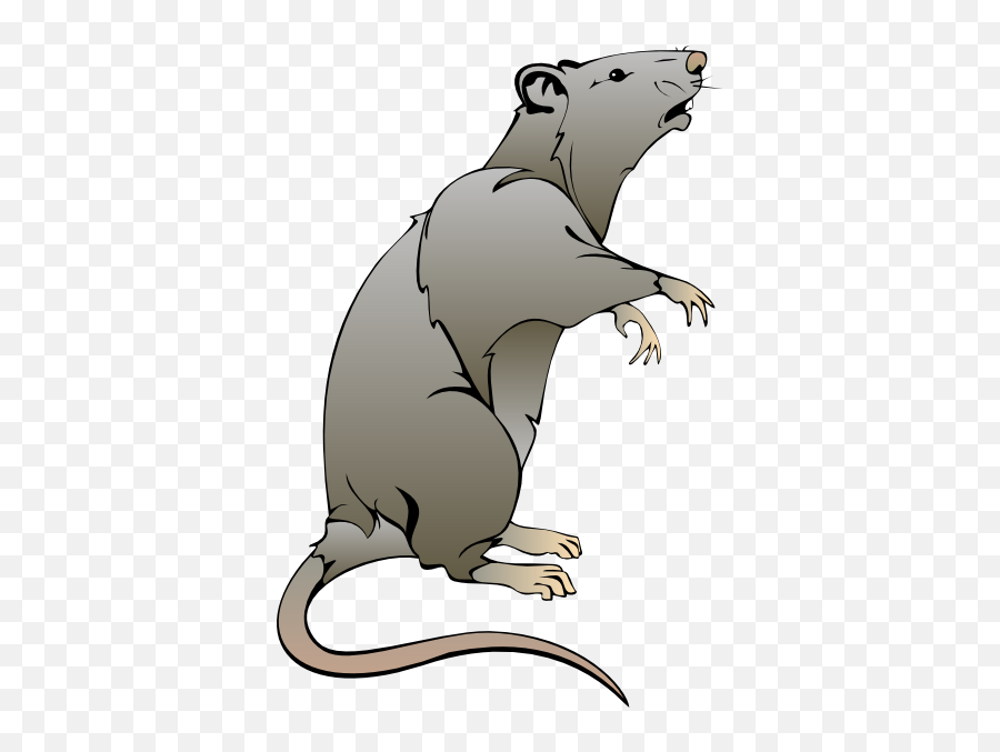Cute Rat Drawing Png - Transparent Rat Clipart Emoji,Rat In Love Emoji