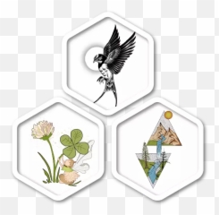 Image To Vector Conversion Service U2013 Price Starts From 5 - Vector Graphics Emoji,Average Size Of Vector Emoticons