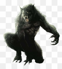 Werewolf Fantasy Wolf Sticker - Transparent Background Werewolf Transparent Emoji,Werewolf Emoji