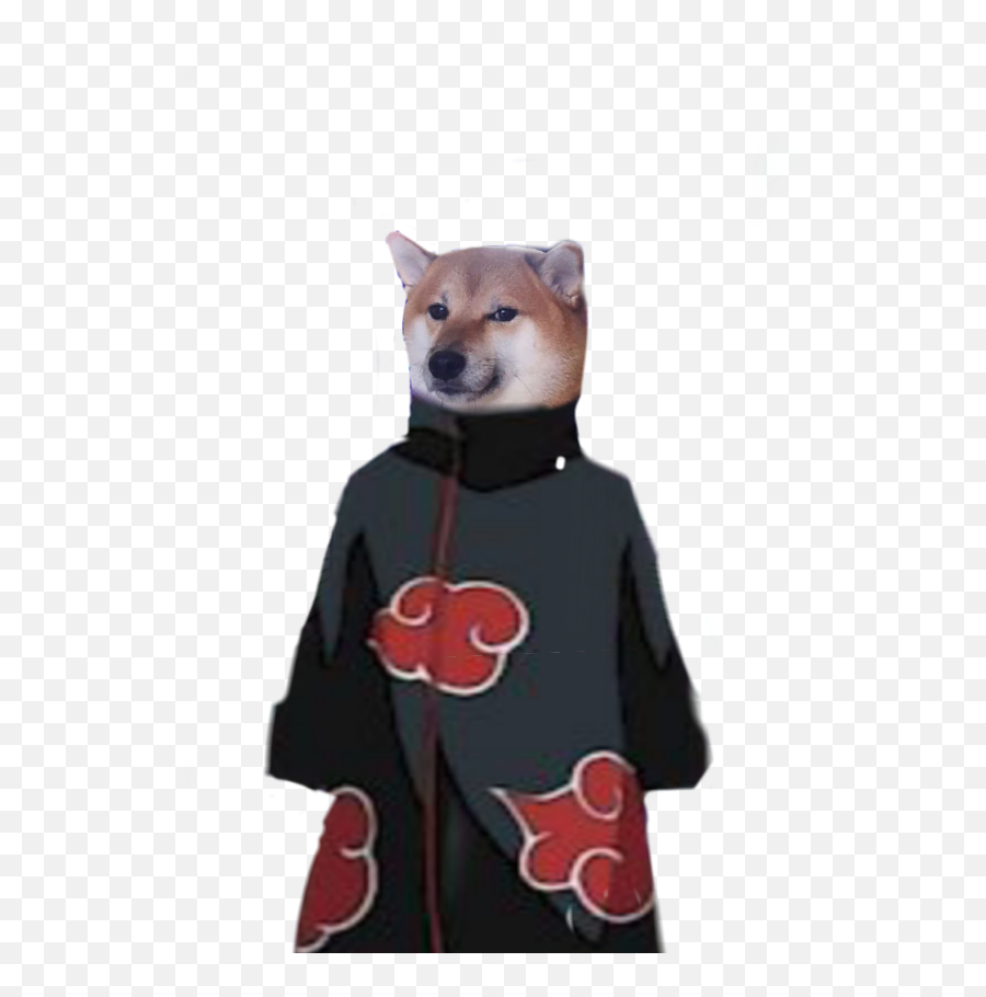 Cheems Doge Png Transparent A Png Needs A Transparent They Emoji,Doge Face Emoticon