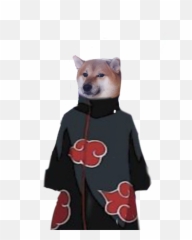 Cheems Doge Png Transparent A Png Needs A Transparent They Emoji,Doge Face Emoticon