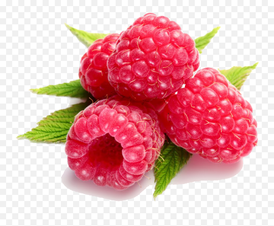 Raspberry Transparent Background Png Svg Clip Art For Web Emoji,Raspberry Emojis