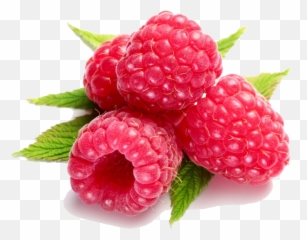 Raspberry Transparent Background Png Svg Clip Art For Web Emoji,Raspberry Emojis