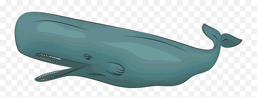 Sperm Whale Clipart - Huge Emoji,Killer Whale Emoji