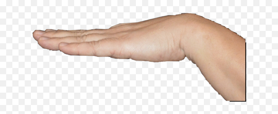 Periodt Periodhand Sticker - Horizontal Emoji,Periodt Hand Emoji