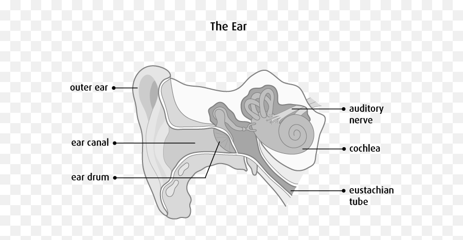 Hearing Problems - Canadian Cancer Society Emoji,Nekomimi Emotion Ears