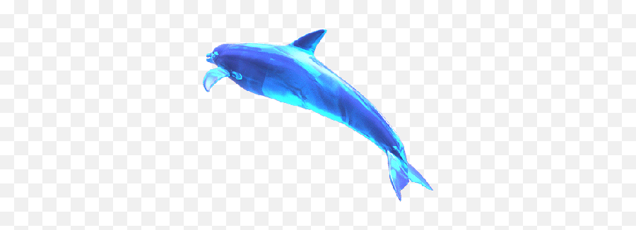 Transparent Dolphin Tumblr Dolphin Giff - Transparent Animated Dolphin Gif Emoji,Dolphin Emojis