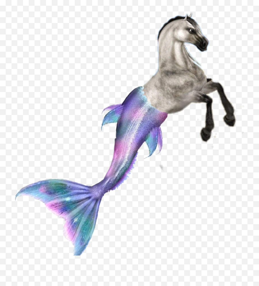 Horse Sso Sticker - Mermaid Tail Emoji,Fish Horse Emoji