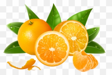 Pin On Ezzzat Png - Oranges Png Emoji,Droopy Dog Emoticon