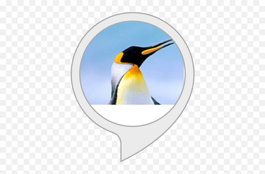 Amazoncom Emoji Alexa Skills - Linkedin,Emoji Bird Best