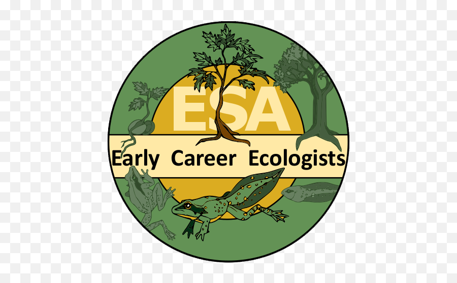 So Youu0027re About Tou2026 U2013 Early Career Ecology Section - Amphibians Emoji,Never Let Your Emotions Dicide Your Carrer