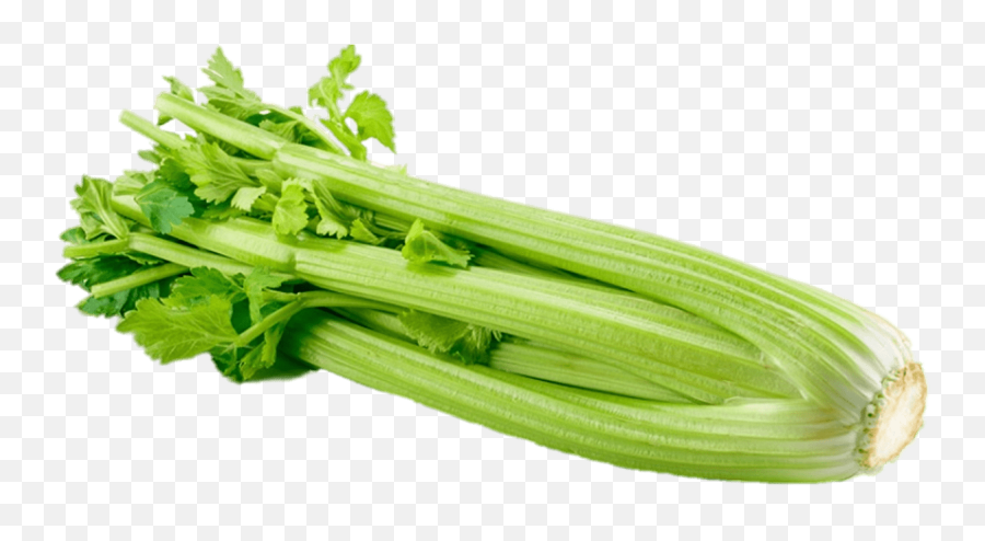 What Food Is This Baamboozle - Celery Png Emoji,Okra Leaf Emojis