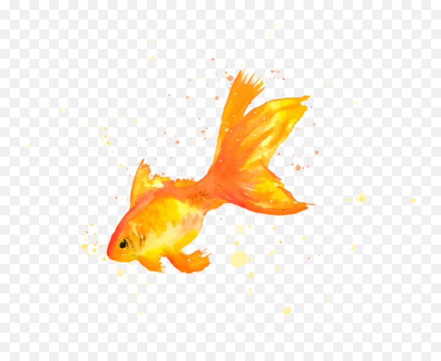 Fish Lamingo Bird Tropical Summer - Goldfish Emoji,Tropical Fish Emoji