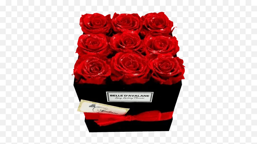 Roses Cheap Price For Diamonds On Roses And Diamond Emoji,Roses Are Senstive To Emotion