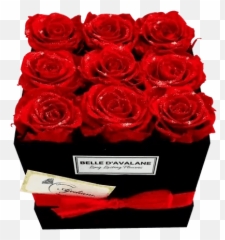 Roses Cheap Price For Diamonds On Roses And Diamond Emoji,Roses Are Senstive To Emotion