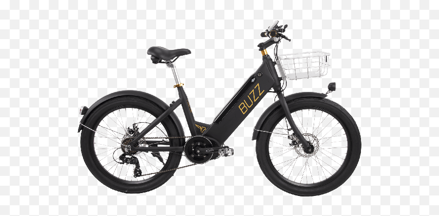 Buzz E - Bike Giant Fathom Ex Emoji,Emotion Electric Bike Review